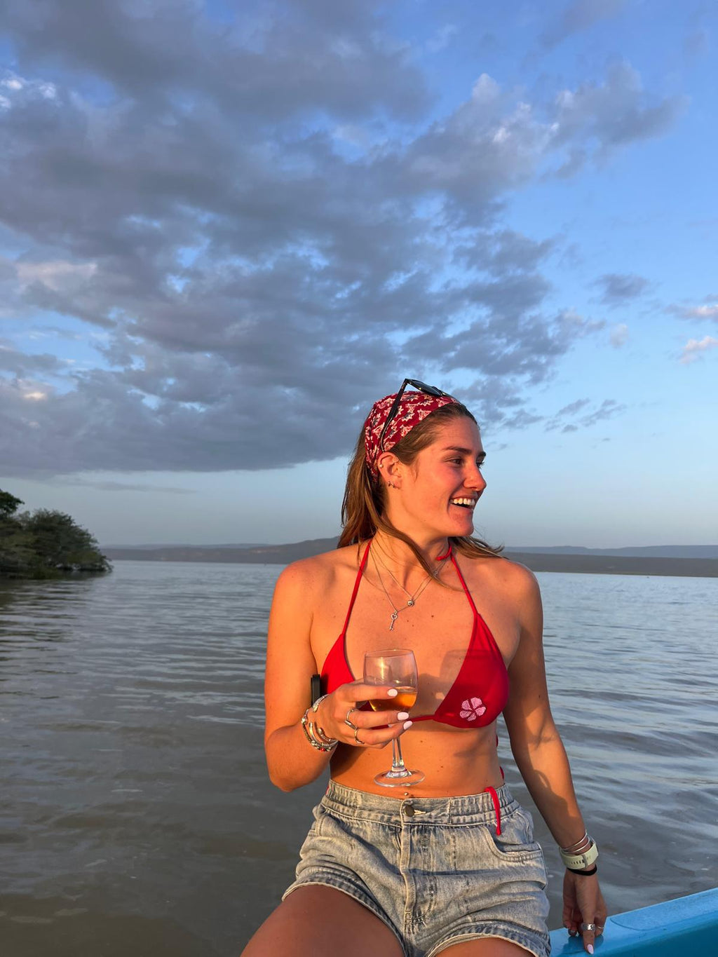 Deep Red Top